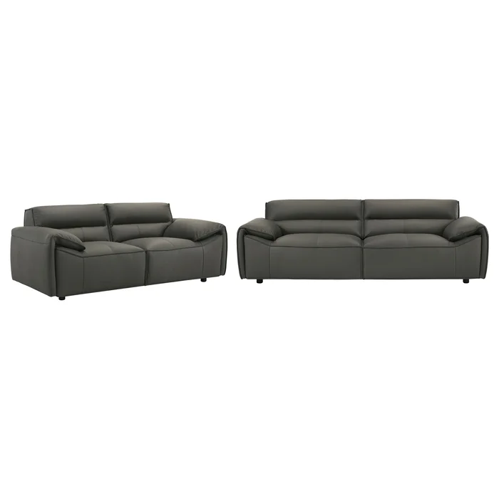 Buxton 2-piece Leather Upholstered Sofa Set Graphite