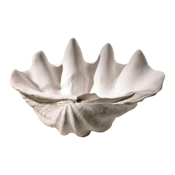 Clam Shell – White-Cream