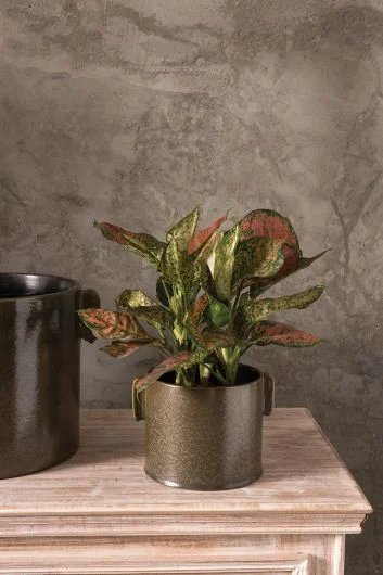 Clark Ceramic Glossy Black Pot Set of 2 By Accent Decor – Black – Ceramic – 51280