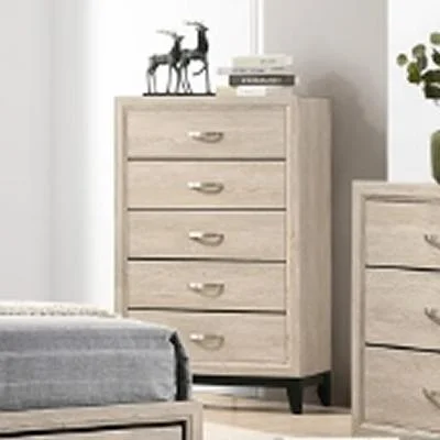 Diamond Modern Furniture CM Akerson 5-Drawer Chest B4630-4