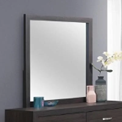 Diamond Modern Furniture CM Hopkins Dresser Mirror B9310-11