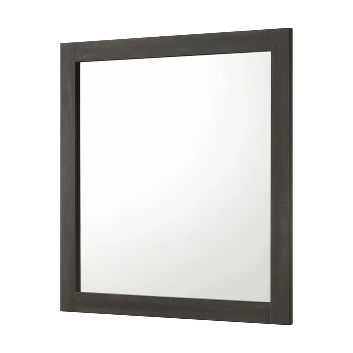 Diamond Modern Furniture CM Remington Dresser Mirror B8160-11