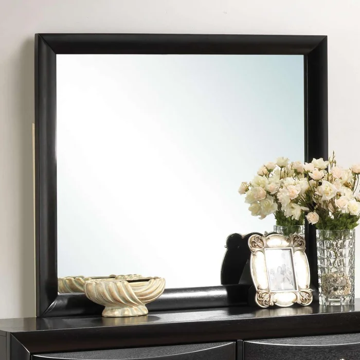 Diamond Modern Furniture COA Briana Dresser Mirror 200704