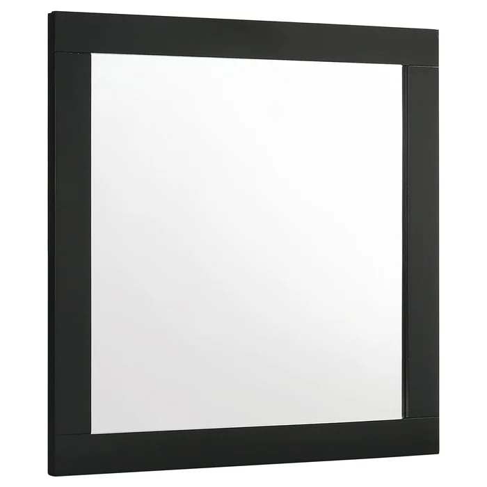 Diamond Modern Furniture COA Caraway Dresser Mirror 224784