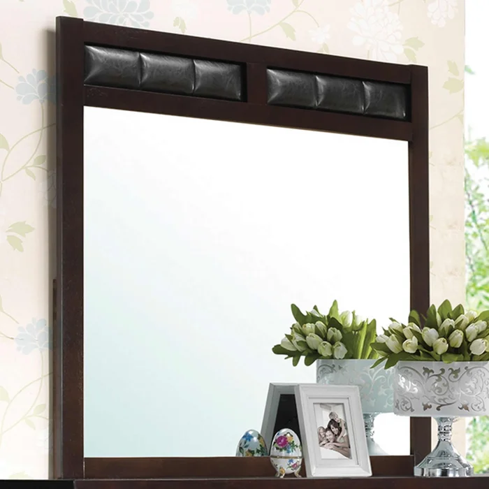 Diamond Modern Furniture COA Carlton Dresser Mirror 202094