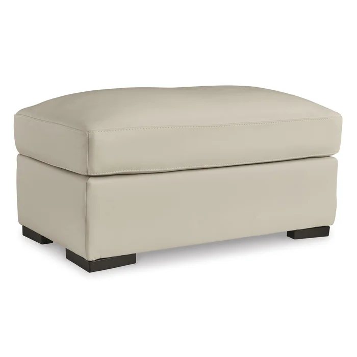 Diamond Modern Furniture Exclusive Design Treasure Trove Leather Match Ottoman 1930414