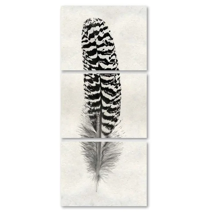 Feather #13 Trilogy Print