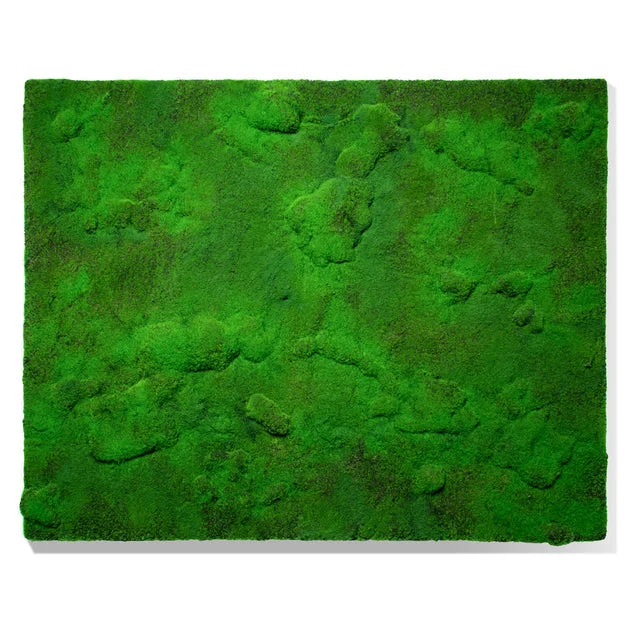 Green Wall, ‘New Moss w/Textur