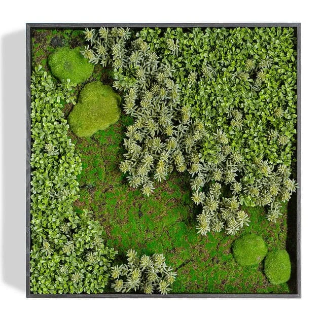 Green Wall “Essex Mix”