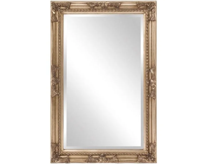Howard Elliot Queen Ann Mirror in Silver (Dropshippable)