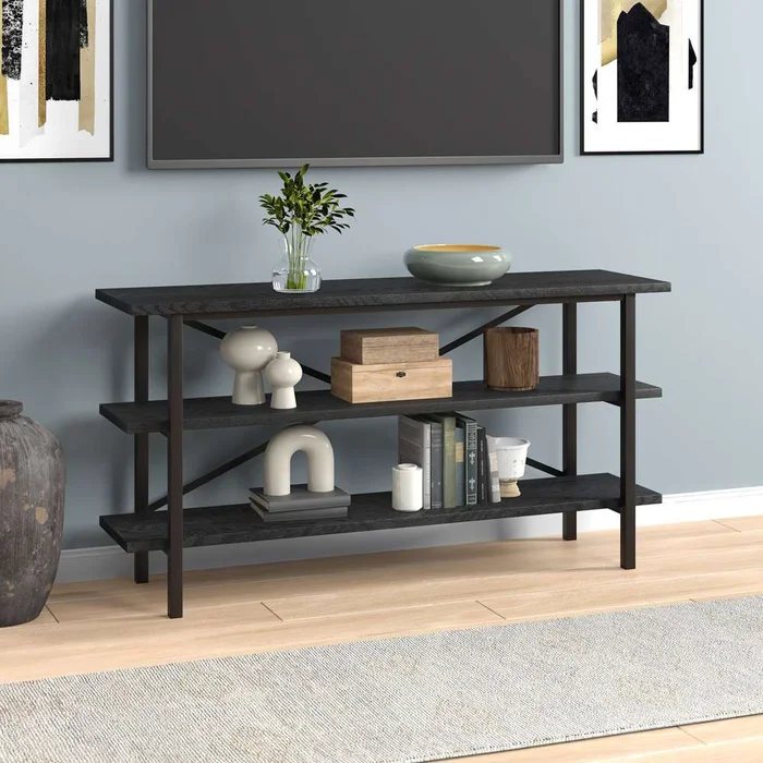 Hudson & Canal – Holloway Rectangular TV Stand for TVs up to 65in in Black Grain – TV1543