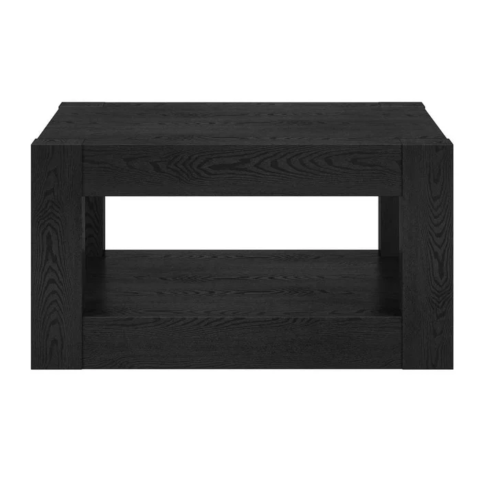 Hudson & Canal – Hughes 32in Wide Square Coffee Table in Black Grain – CT2026