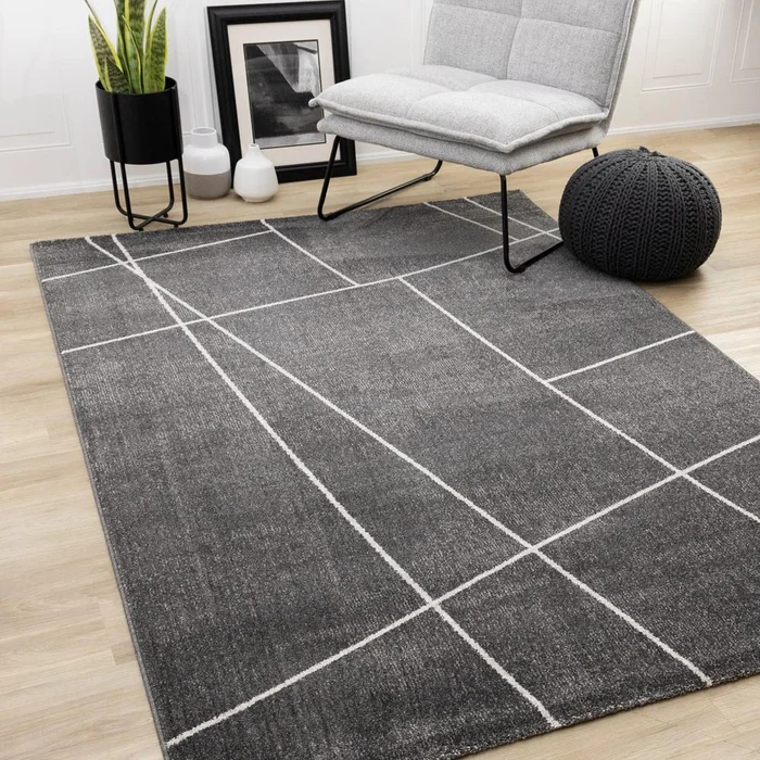 Kalora Interiors – Mae Grey White Organic Line Design Rug, 53in x 77in – 34120/3161 160230
