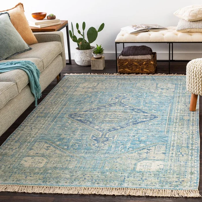 Livabliss – Zainab 6×9 Handmade Rug – ZAI2304-69