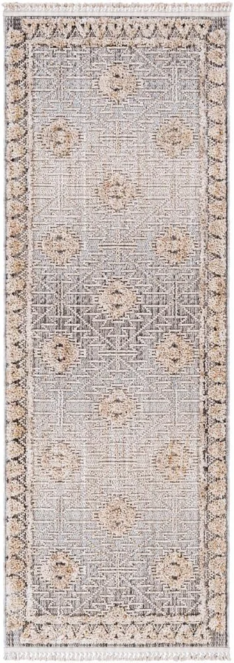 Livabliss – Zaragoza 27inx73in Machine Woven Rug – ZRZ2318-2773