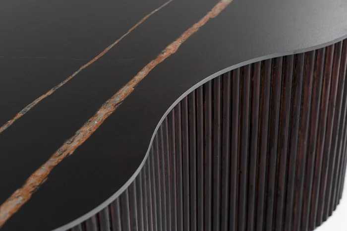 Modrest Ricko – Modern Black Ceramic + Smoked Ash Freeform Coffee Table