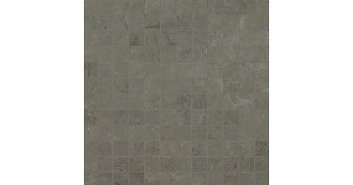 MSI Sample Only of NSOR2X2