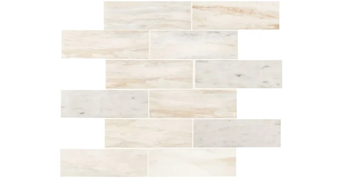 MSI Sample only of SMOT-2X6P