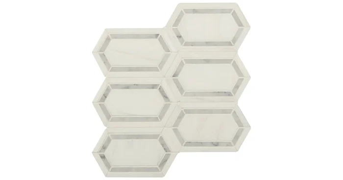 MSI Sample only of SMOT-BIANDOL-PK8MM