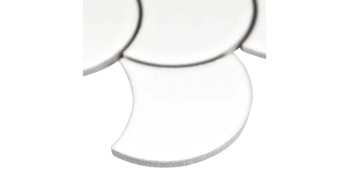 MSI Sample only of SMOT-PT-SCALOP