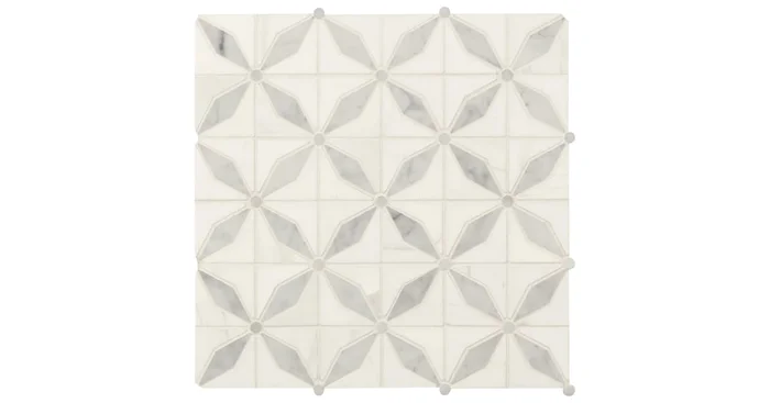 MSI Sample only of SMOT-STARP