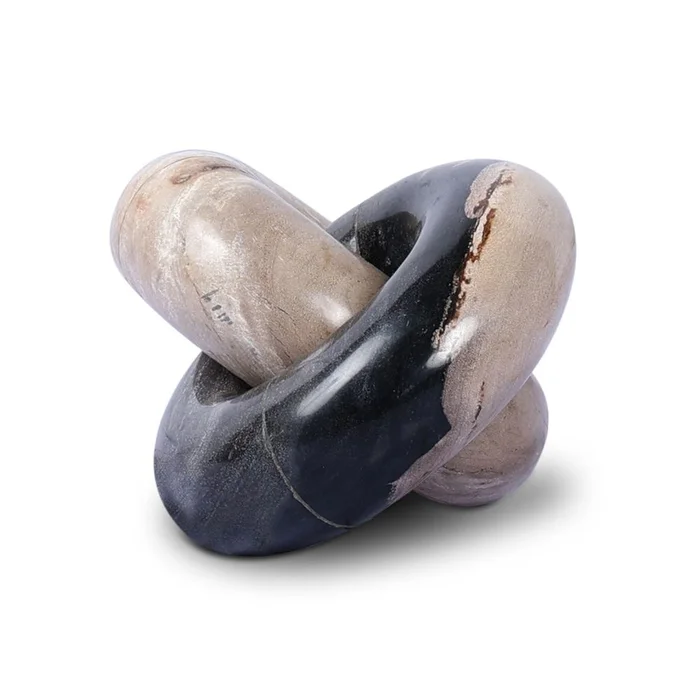 Petrified Wood Knot – Dark Petrified Wood