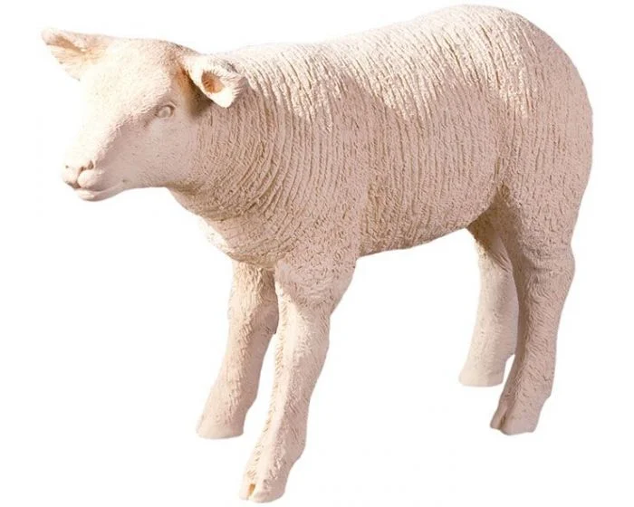 Phillips Collection Texelaar Sheep, Lamb, Cream (Dropshippable)