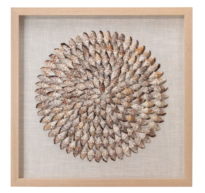 Riviera Framed Wall Art, Beige Simnia Shell