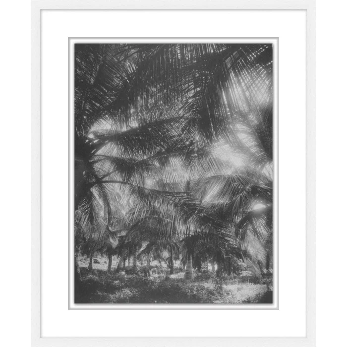 Tropical Palm Alcove 2