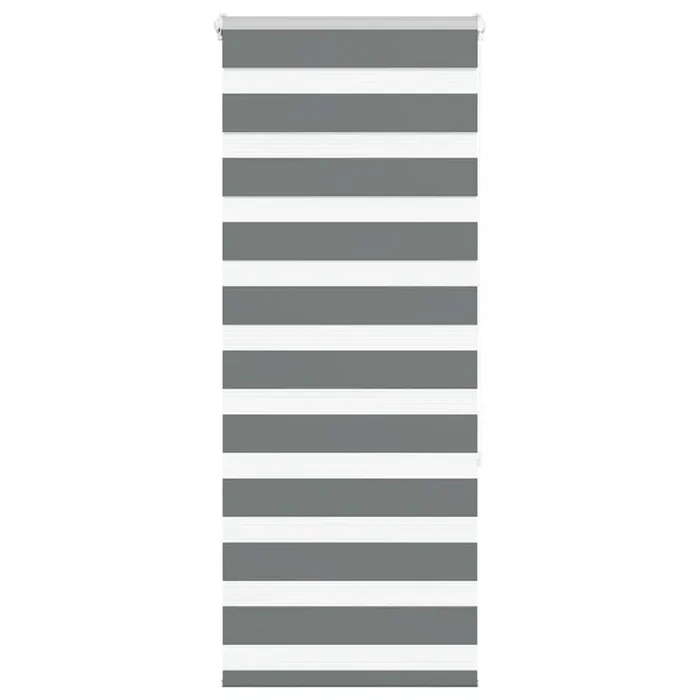 vidaXL Zebra Blind Dark Grey 55×150 cm Fabric Width 50.9 cm Polyester
