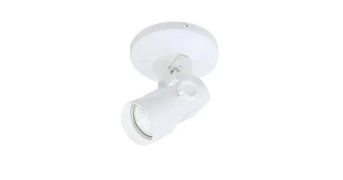 WAC Lighting Accent / Spot Light from the Surface Mounts Collection
